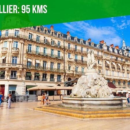 Ferienwohnung La Bulle - Parking Gratuit En Souterrain - 2 Mins Du Palais Des Papes - Clim Ac - Wifi Avignon Exterior foto